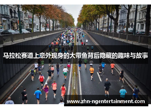 马拉松赛道上意外现身的大带鱼背后隐藏的趣味与故事